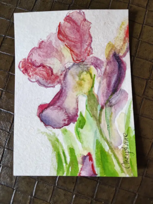 Iris purple WaterColour by CheyAnne aceo art card