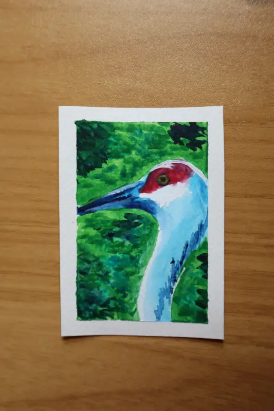 "Sandhill Crane" aceo art card
