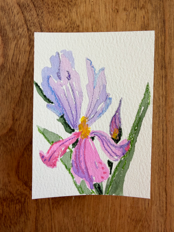 Pastel Iris aceo art card