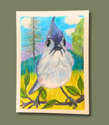 Tufted Titmouse - ACEO Colored Pencil Drawing on Illustration Boars - Songbird Art aceo art card thumbnail 1