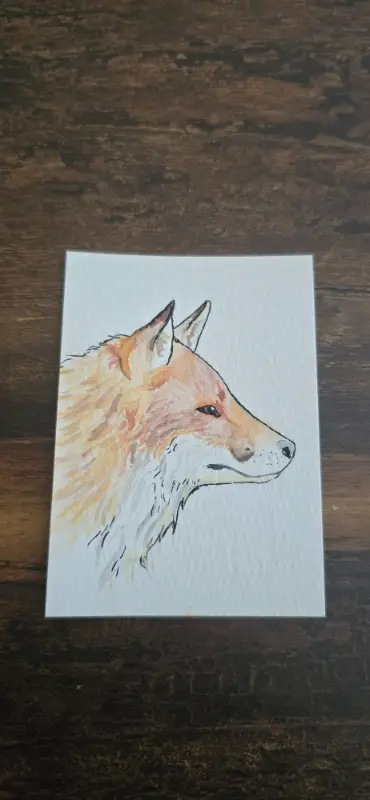 Red Fox aceo art card