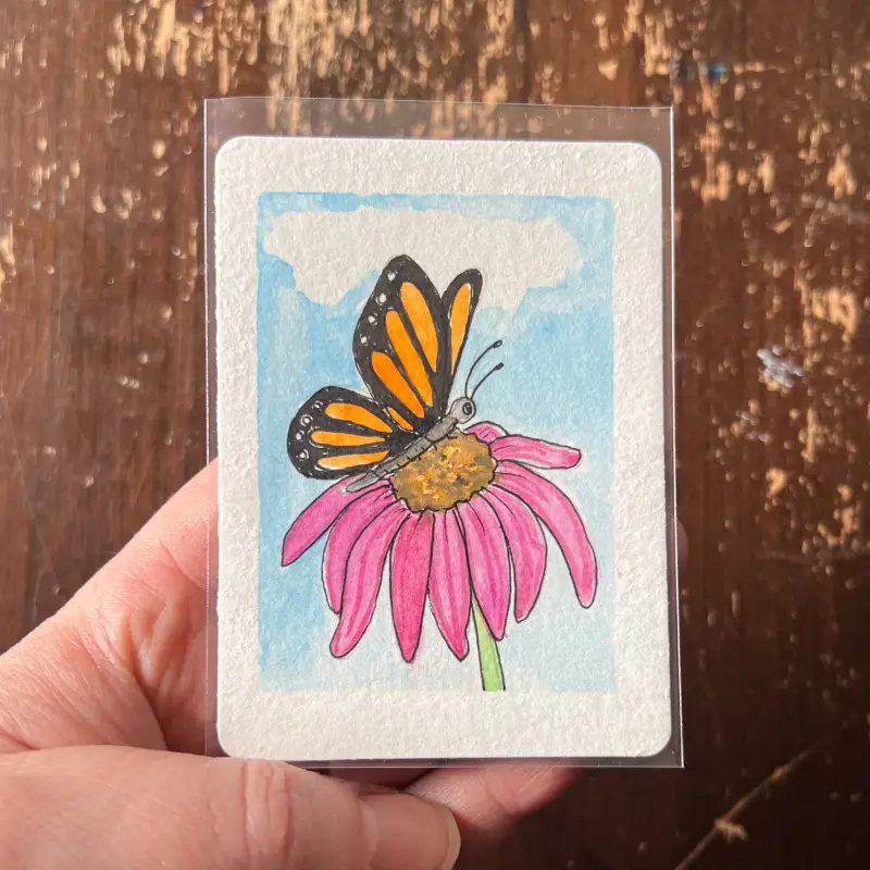Butterfly on a coneflower. aceo art card