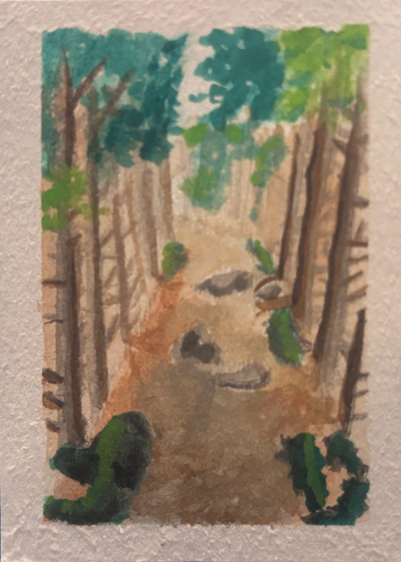 Trail to Little Hunters Beach, Acadia National Park Collection aceo art card