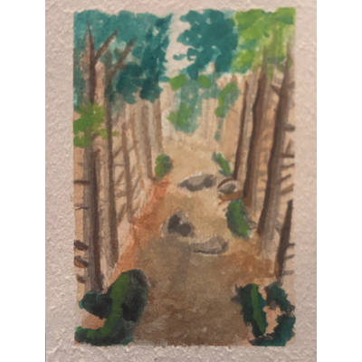 Trail to Little Hunters Beach, Acadia National Park Collection aceo art card thumbnail 1