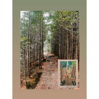 Trail to Little Hunters Beach, Acadia National Park Collection aceo art card thumbnail 2