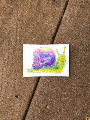 Colorful Skull Snail Watercolor aceo art card thumbnail 2
