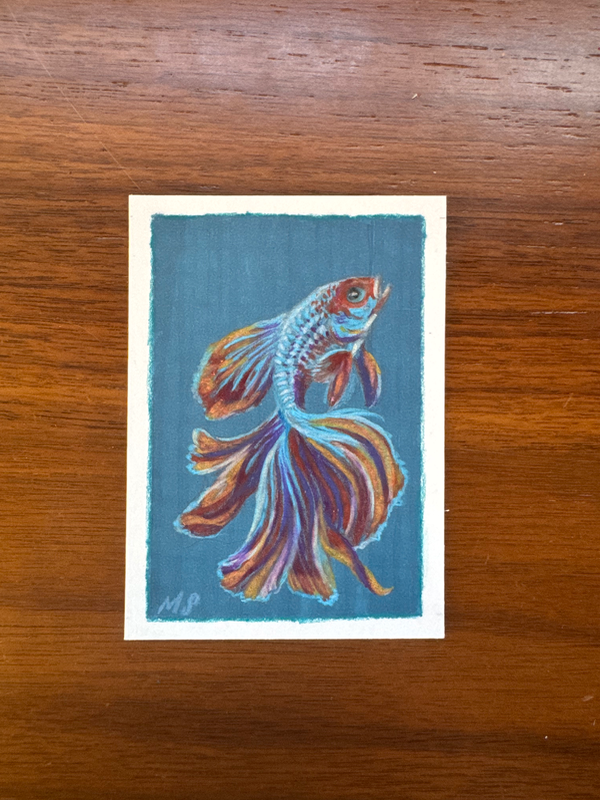 Blue Betta aceo art card