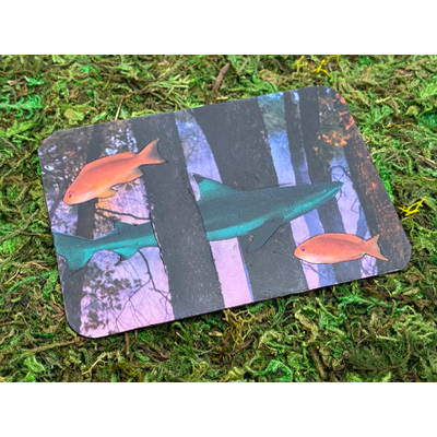 Forest of Fish - ACEO #9 aceo art card thumbnail 2