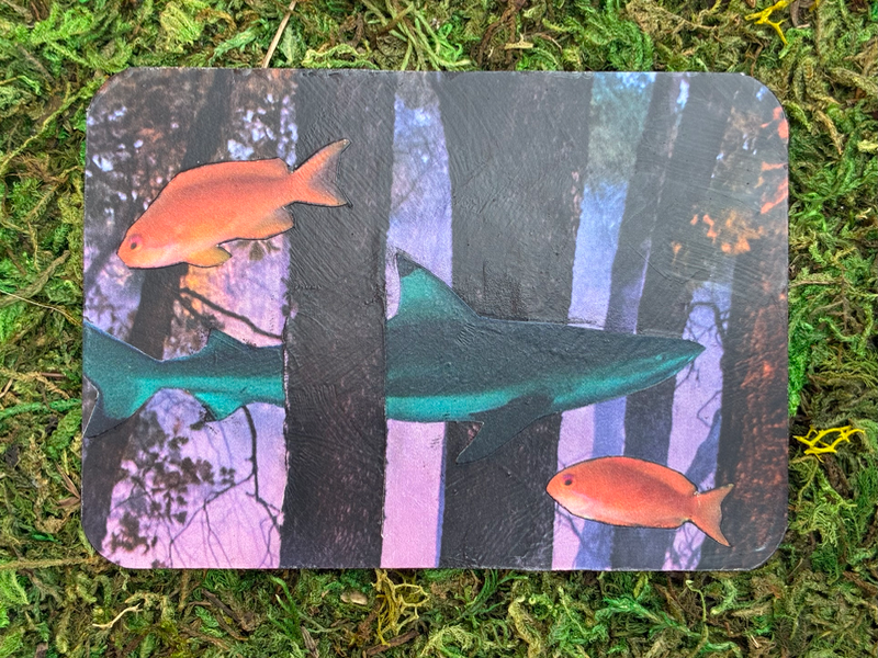 Forest of Fish - ACEO #9 aceo art card
