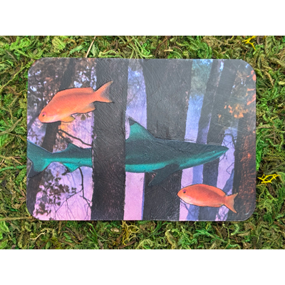 Forest of Fish - ACEO #9 aceo art card thumbnail 1