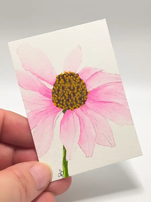 Pink Coneflower aceo art card