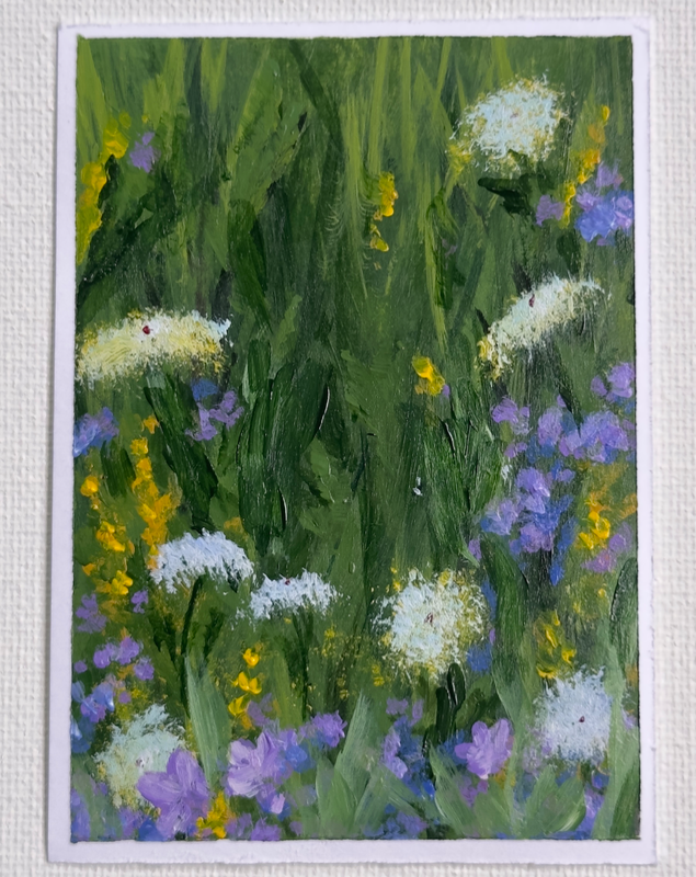 Queen Anne’s Lace aceo art card
