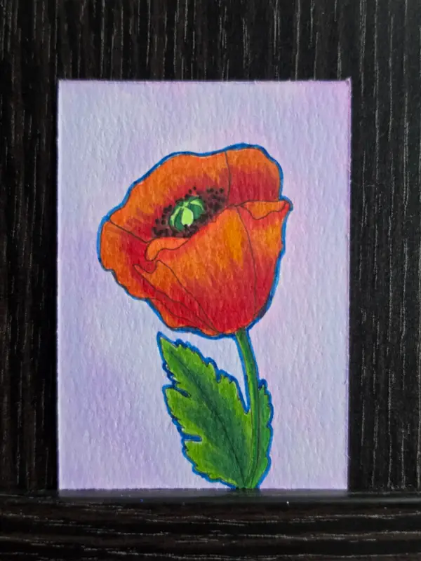 Poppy aceo art card
