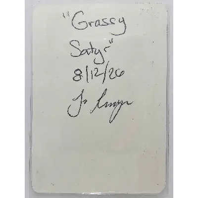Grassy Satry aceo art card thumbnail 3