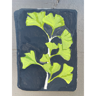 Ginkgo aceo art card thumbnail 2