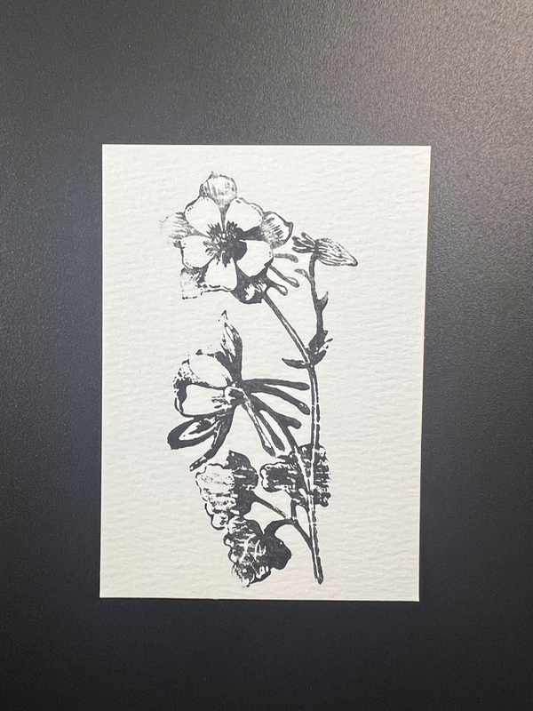 ACEO Original, Columbine Flower Stamp With Acrylic, 2.5 x 3.5” Mini Art Card aceo art card