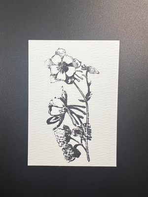 ACEO Original, Columbine Flower Stamp With Acrylic, 2.5 x 3.5” Mini Art Card aceo art card thumbnail 1