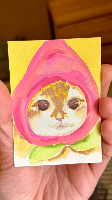 Peach Cat | Random Cat Series aceo art card