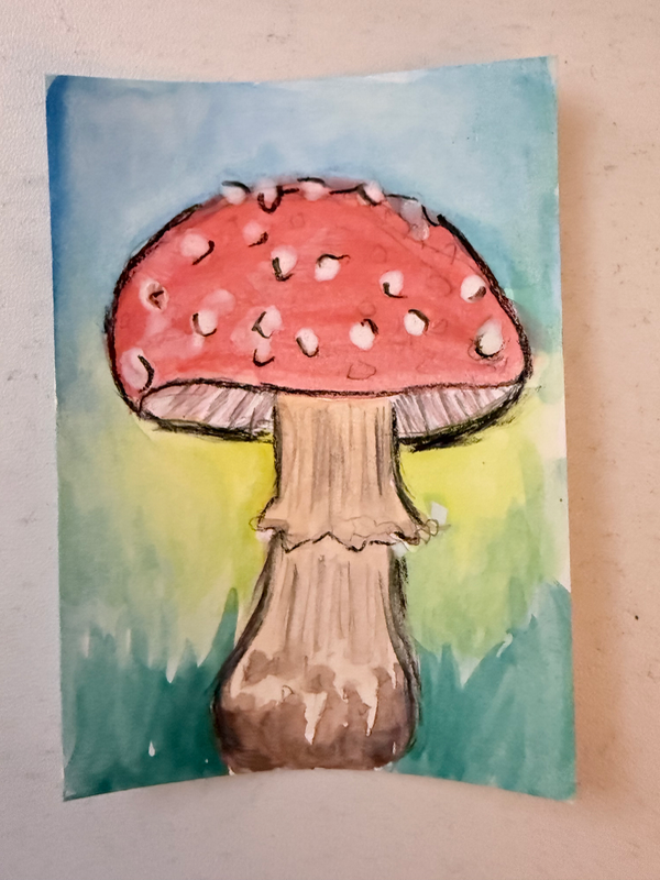 ACEO - Toadstool (mushroom, watercolor, original) aceo art card