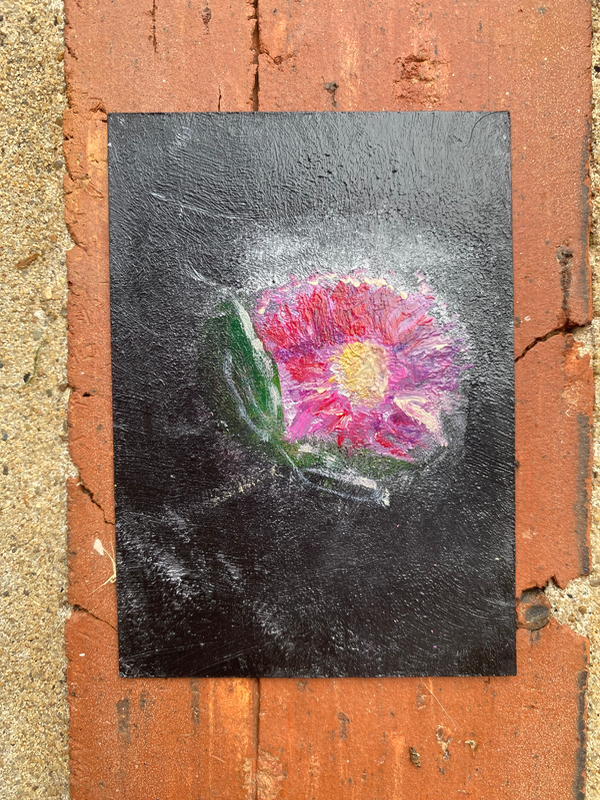 Growing Through Darkness 🌼 aceo art card