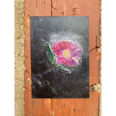 Growing Through Darkness 🌼 aceo art card thumbnail 1