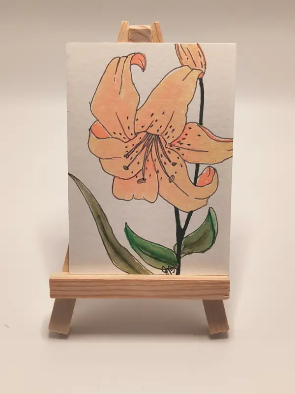 Peach Lily aceo art card
