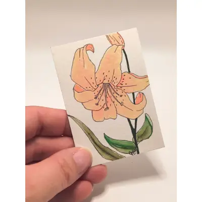 Peach Lily aceo art card thumbnail 2