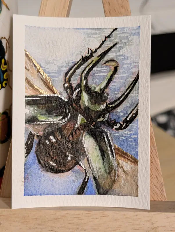 Atlas Beetle aceo art card
