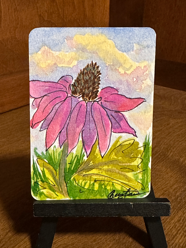 Coneflower aceo art card