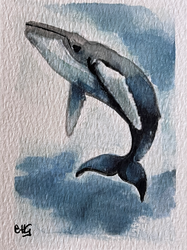 Humpback Whale aceo art card