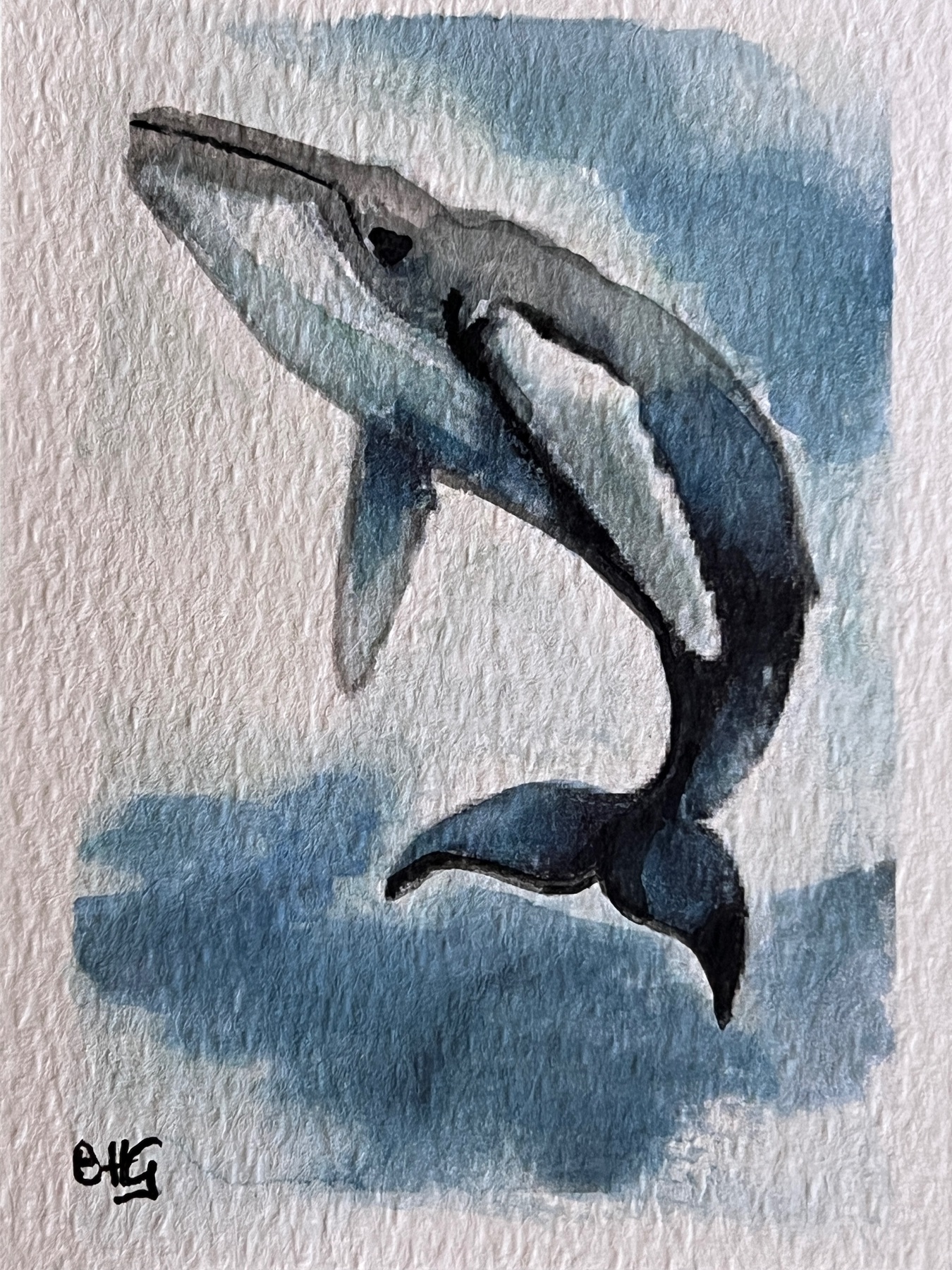 Humpback Whale aceo art card