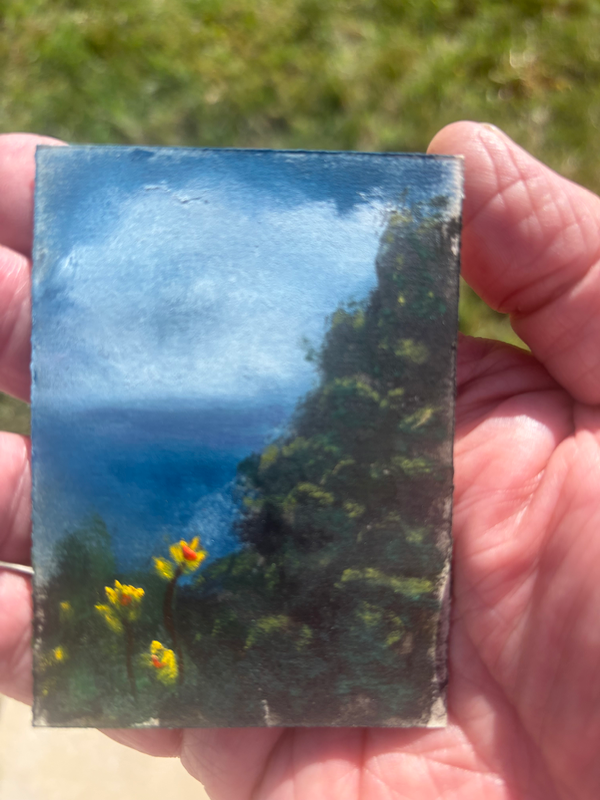 ACEO Original one of a Kind aceo art card