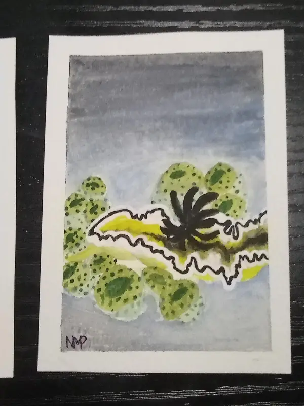 Sea Slug #8 aceo art card