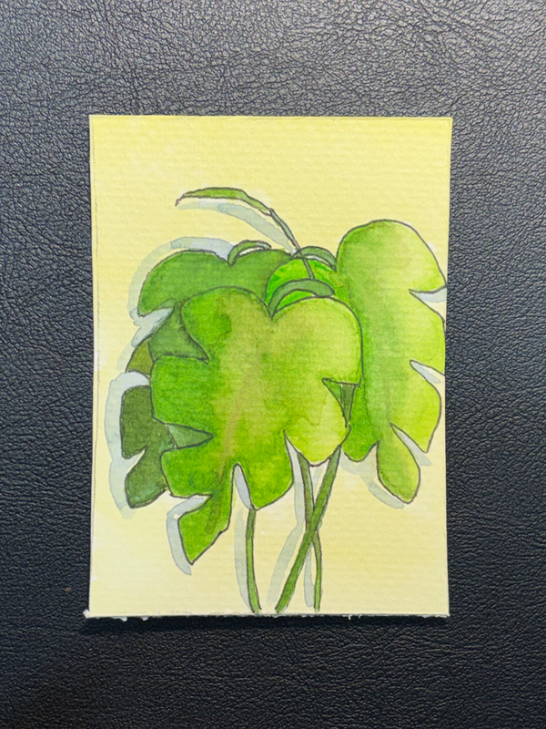 Bold Monstera aceo art card