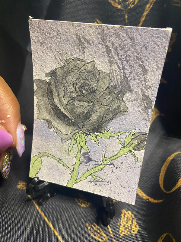 Black Rose aceo art card