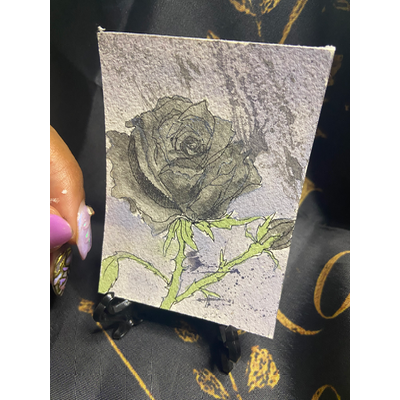 Black Rose aceo art card thumbnail 1