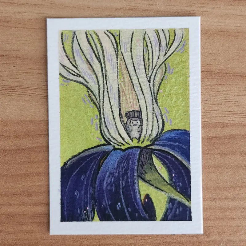hideaway aceo art card