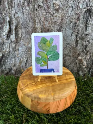 Fiddle Fig : Series III aceo art card thumbnail 1