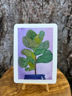 Fiddle Fig : Series III aceo art card thumbnail 2