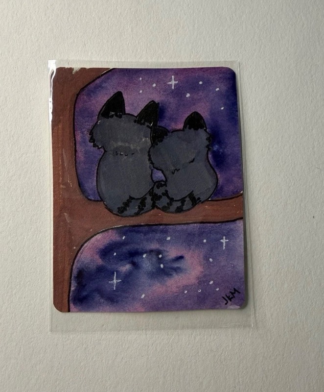 Raccoon snuggles aceo art card