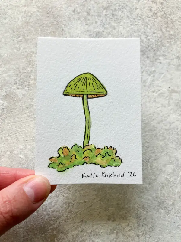 Tiny Green Mushroom and Moss - Gouache and Ink Illustration aceo art card