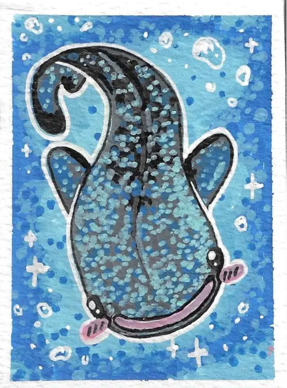 Blushing Whale Shark aceo art card
