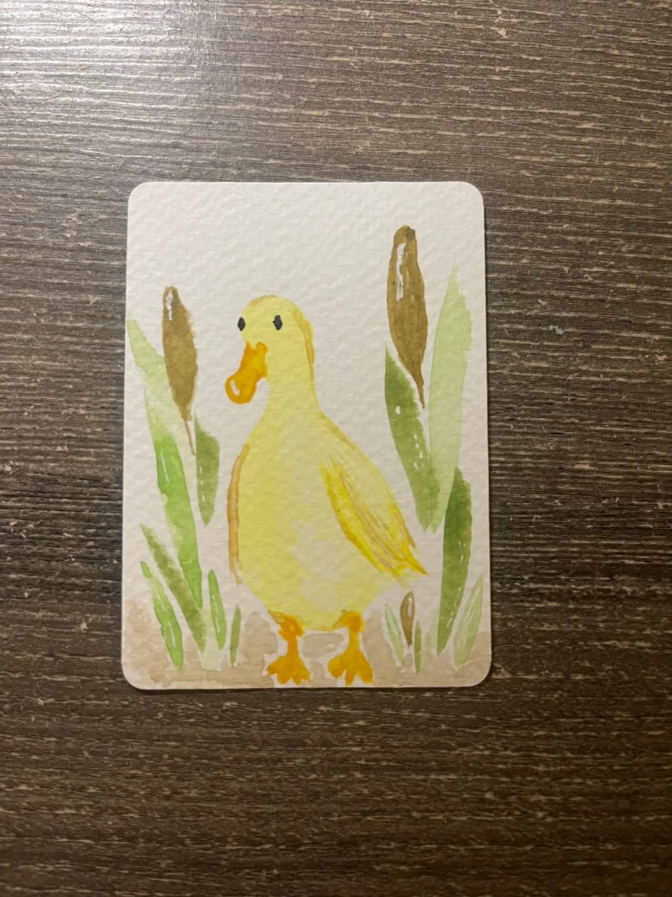 Duck Days aceo art card