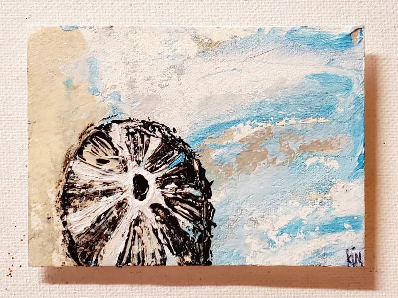 SEASHELL 3 aceo art card