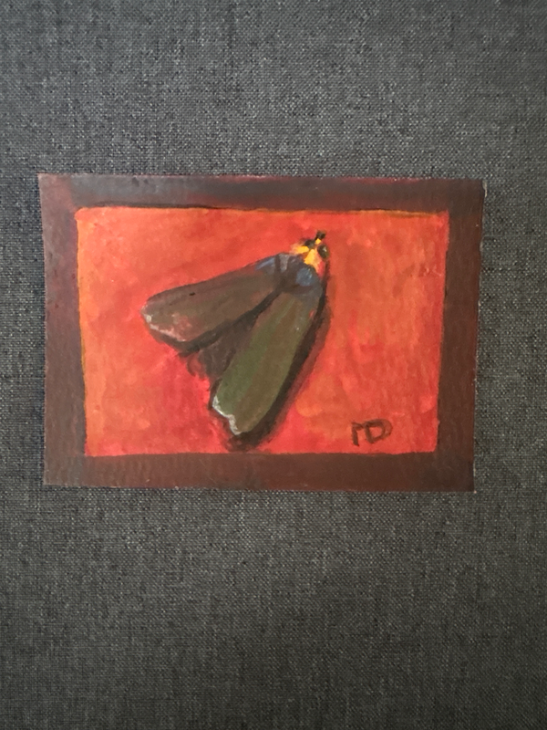 Black Moth aceo art card