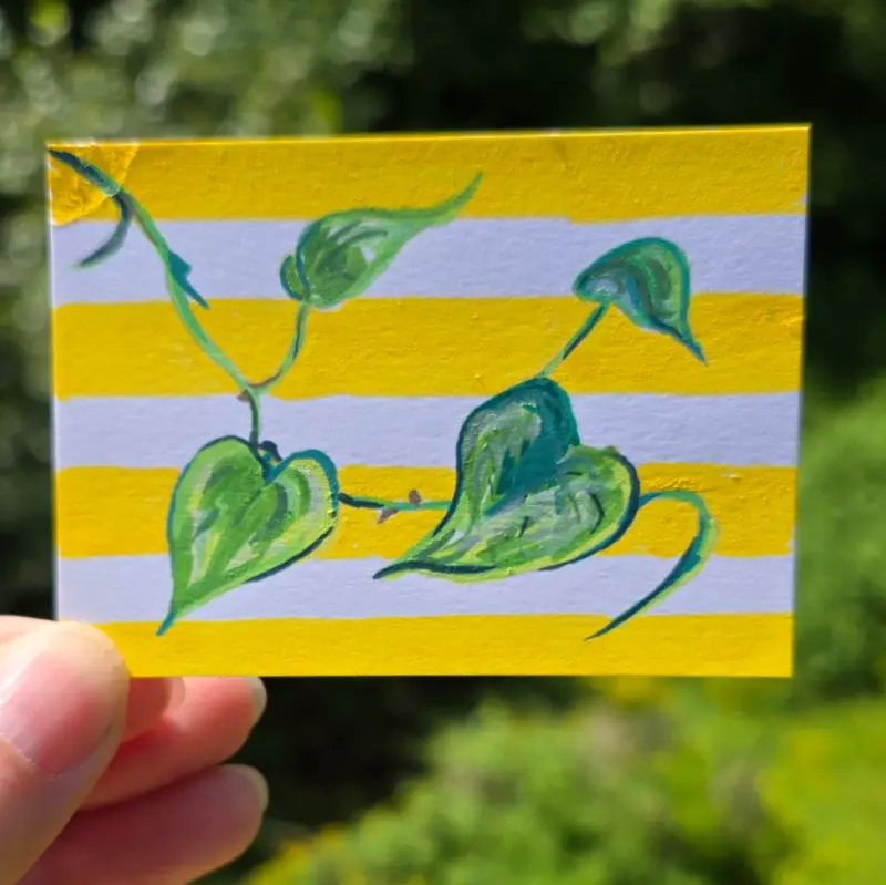 Golden Pothos on Stripes aceo art card