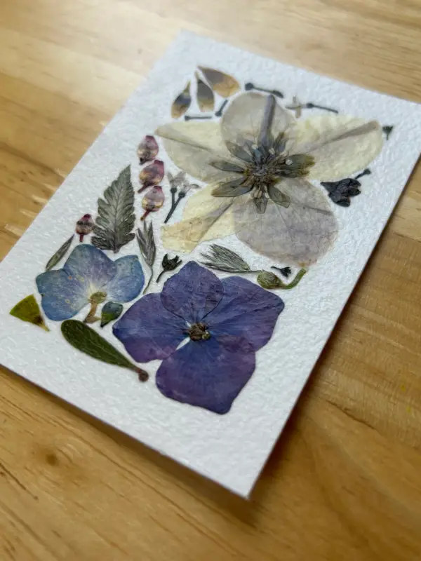 Pressed Flowers #12 (Floral Series) aceo art card