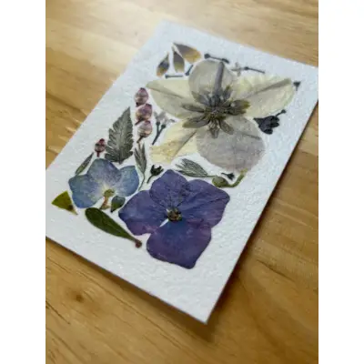 Pressed Flowers #12 (Floral Series) aceo art card thumbnail 1