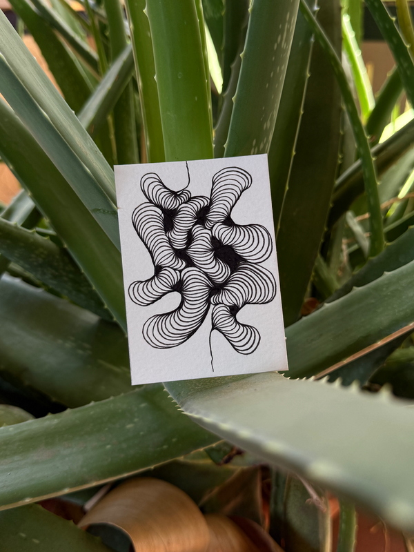 HYPHAE - STOLON ACEO aceo art card
