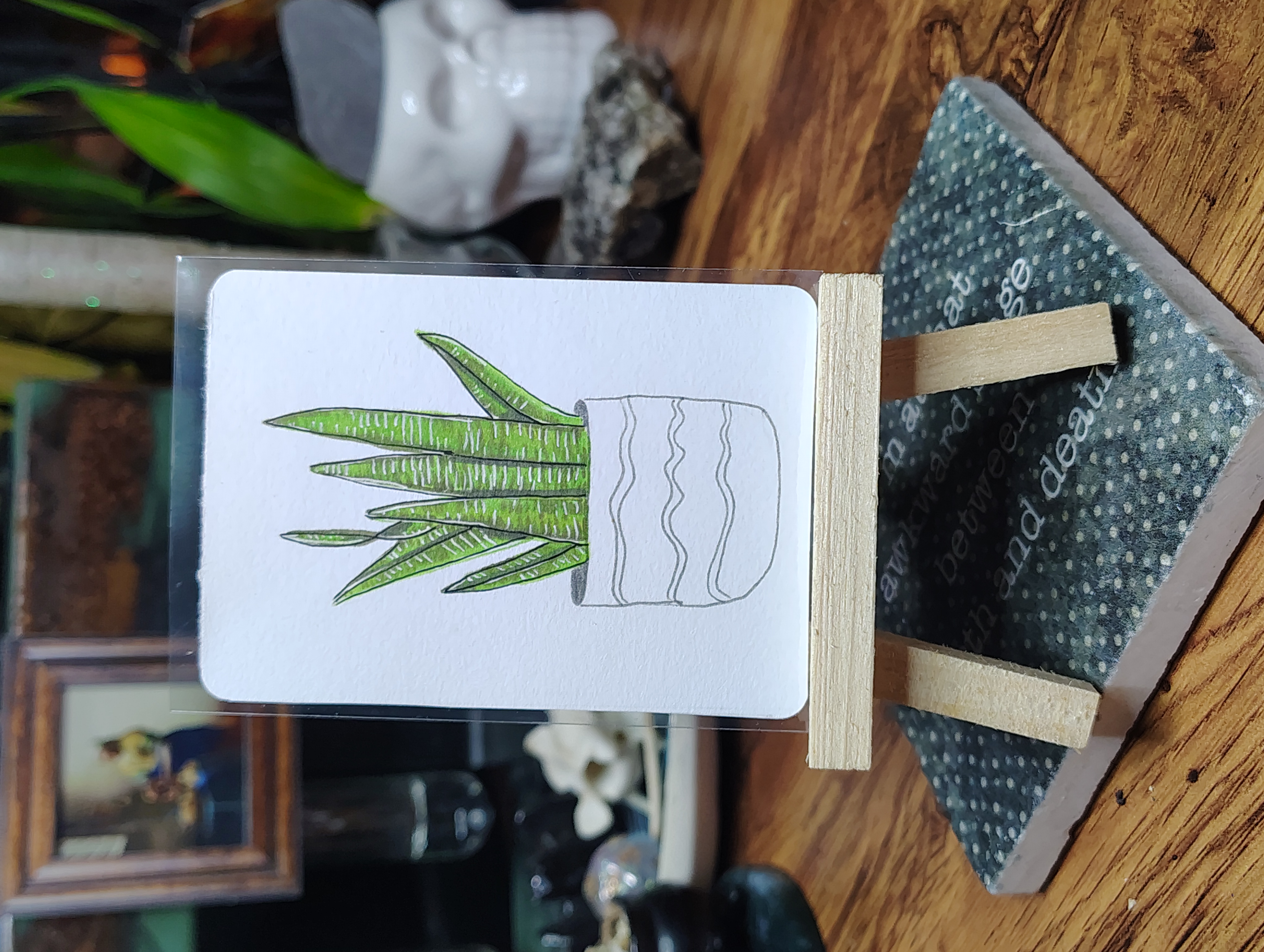 Beneficial Botanicals 7/8: Snake Plant aceo art card